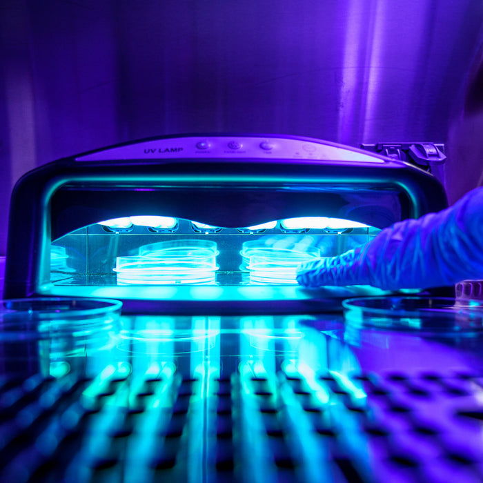 Our Chemists Analyze a Report from UCSD Study Regarding UV Nail Curing Lamps Causing Damage to DNA Leading to Skin Cancer | Here's What's Wrong With This Study