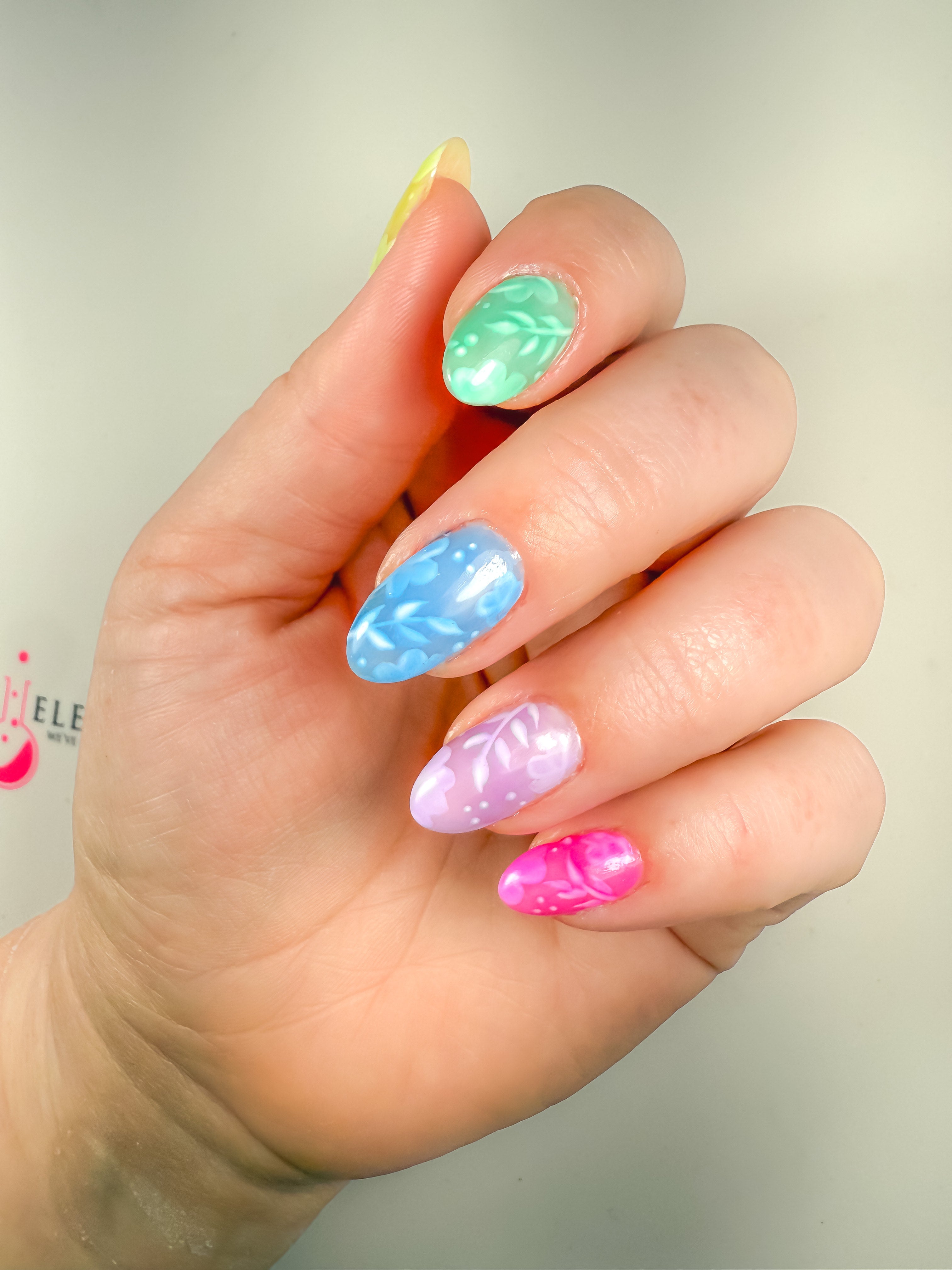 P+ Jellies Bundle
